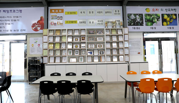 Goheung Yuja and Pomegranate Experience and Exhibition Shop