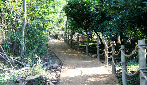 Walk