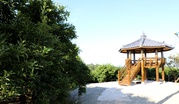 Farm Observatory (Gazebo)